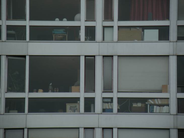  fenêtres d'appartements